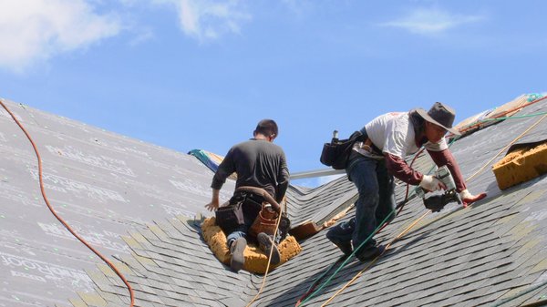 Exploring Your Options: Roofing Contractors in My Area