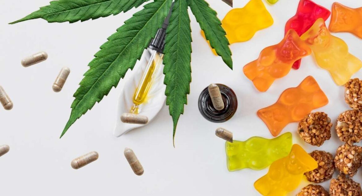 Comparing CBD Gummies and CBD Oil What You Need to Know