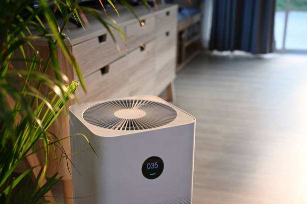 Purifiers and Ventilation: A Dynamic Duo for Home Air Quality