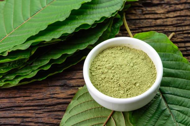 High-Quality White Borneo Kratom: Top-Rated Options in 2024